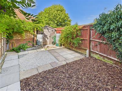 Picture 20